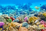 海底世界