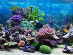 海底世界
