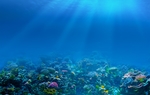 海底世界