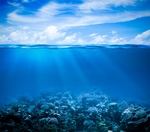 海底世界