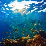 海底世界