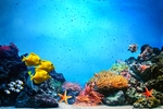 海底世界