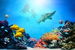 海底世界
