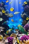 海底世界