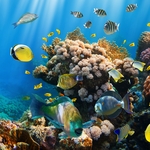 海底世界