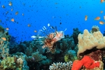海底世界