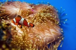 海底世界
