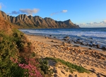 海滩棕榈椰树风景