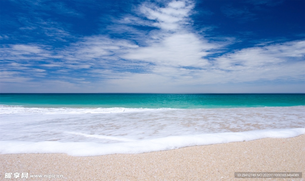 海滩棕榈椰树风景