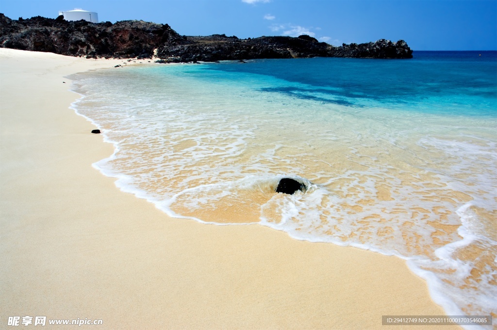 海滩棕榈椰树风景