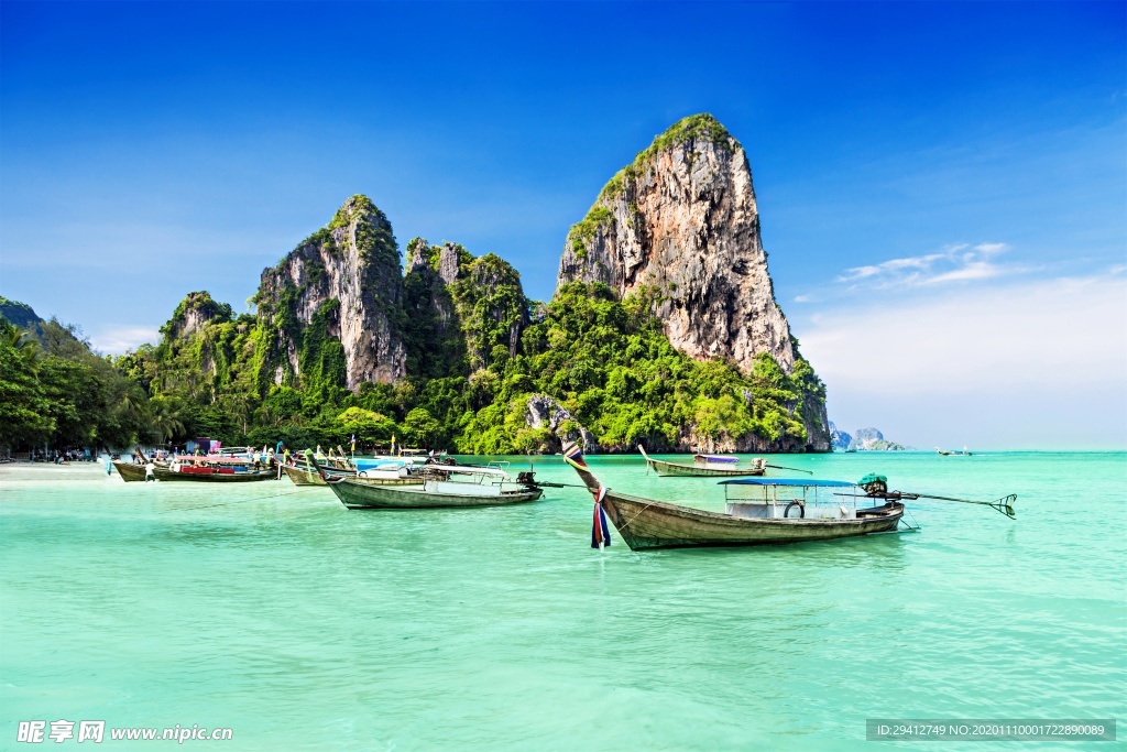 海滩棕榈椰树风景