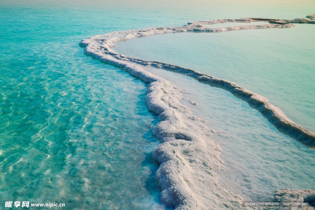 海滩棕榈椰树风景