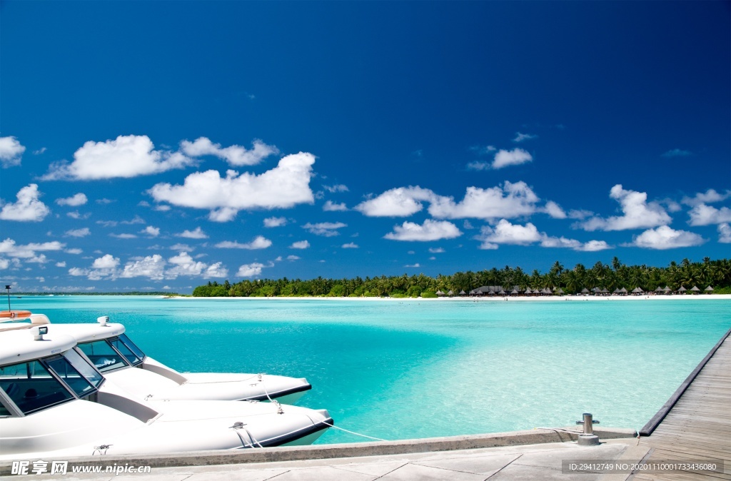 海滩棕榈椰树风景