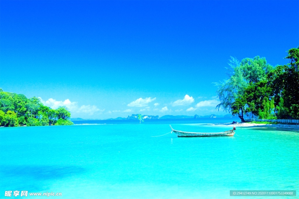 海滩棕榈椰树风景