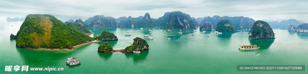 海滩棕榈椰树风景