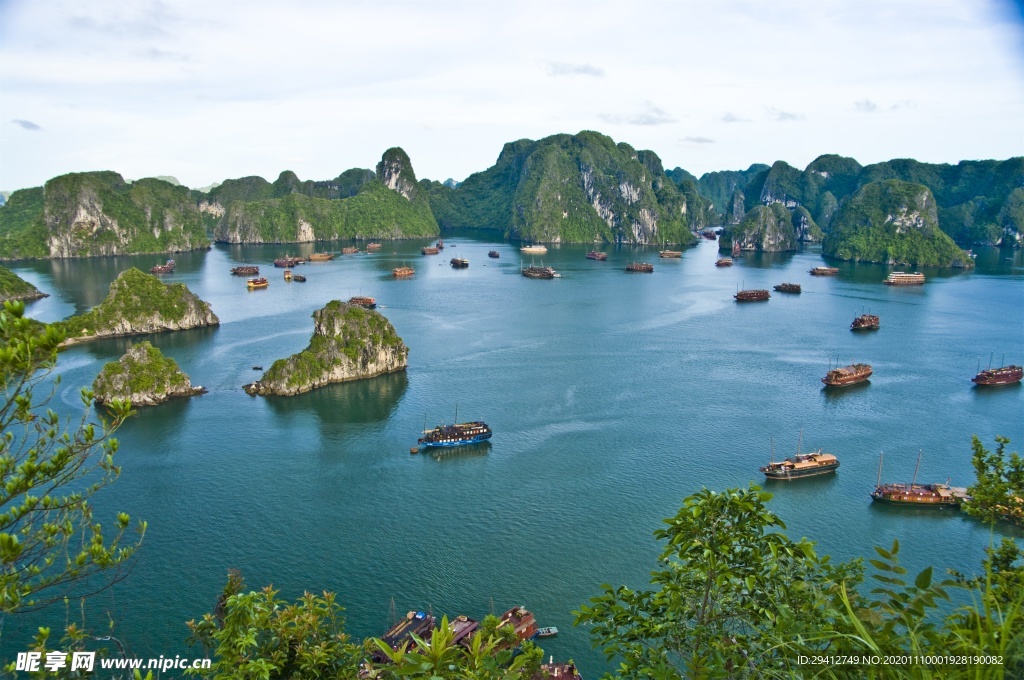 海滩棕榈椰树风景