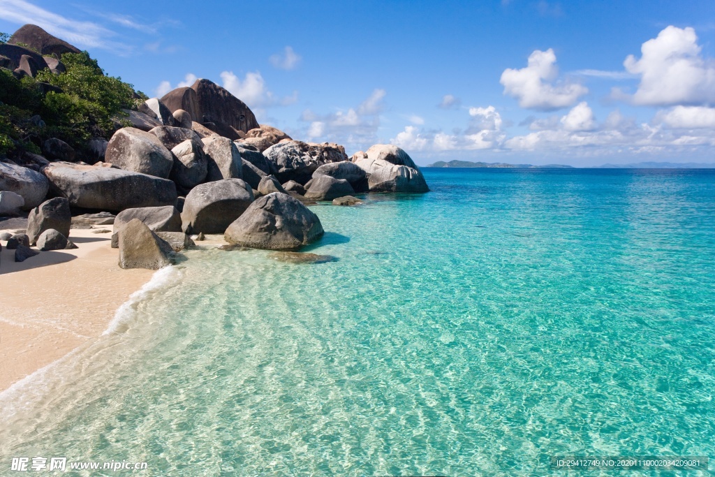 海滩棕榈椰树风景