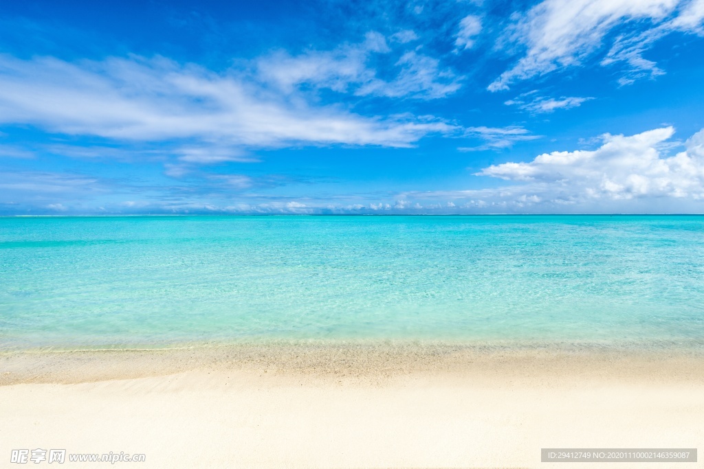 海滩棕榈椰树风景