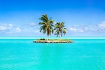 海滩棕榈椰树风景