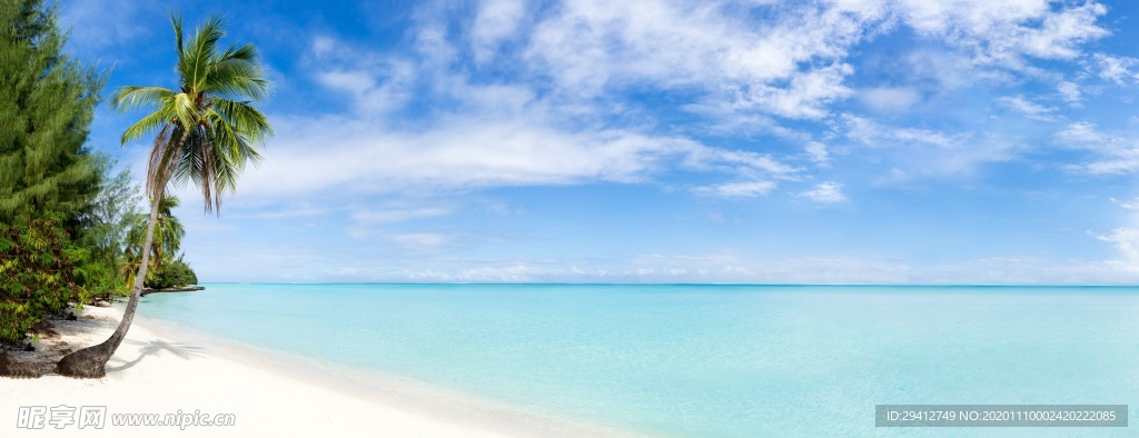 海滩棕榈椰树风景