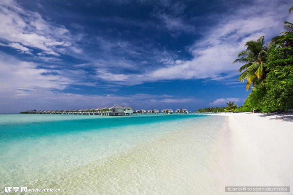 海滩棕榈椰树风景