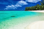 海滩棕榈椰树风景