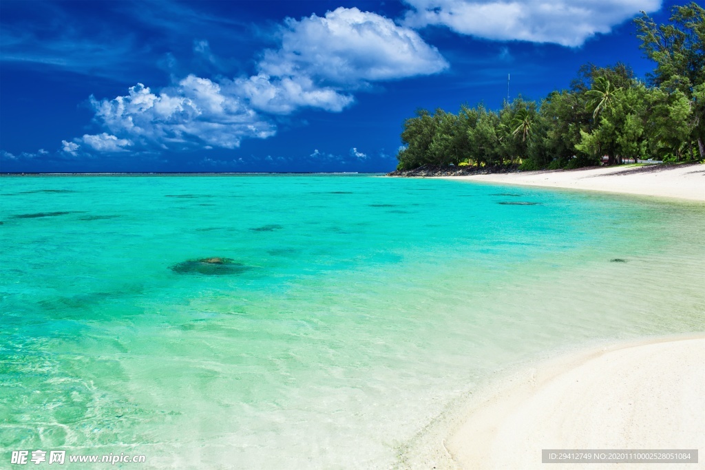 海滩棕榈椰树风景