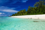 海滩棕榈椰树风景