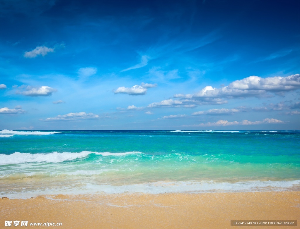 海滩棕榈椰树风景