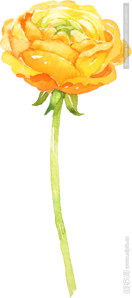 花