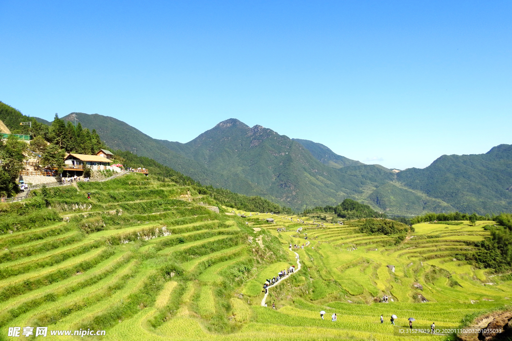 梯田风景高清大图