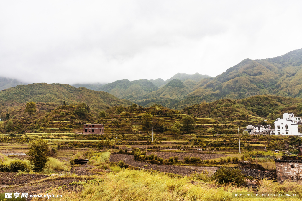 高山下的麦田清晰大图