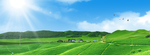 茶园展板