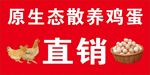 散养鸡蛋海报
