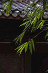屋檐