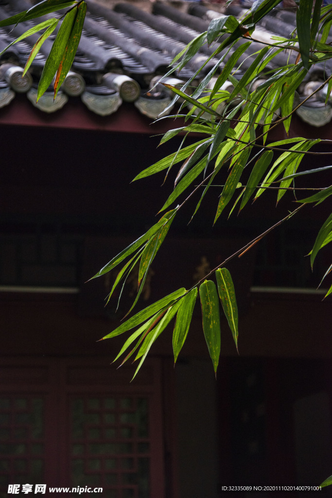屋檐