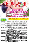 千年古熏