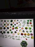 植物  平面图