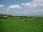 自然风景