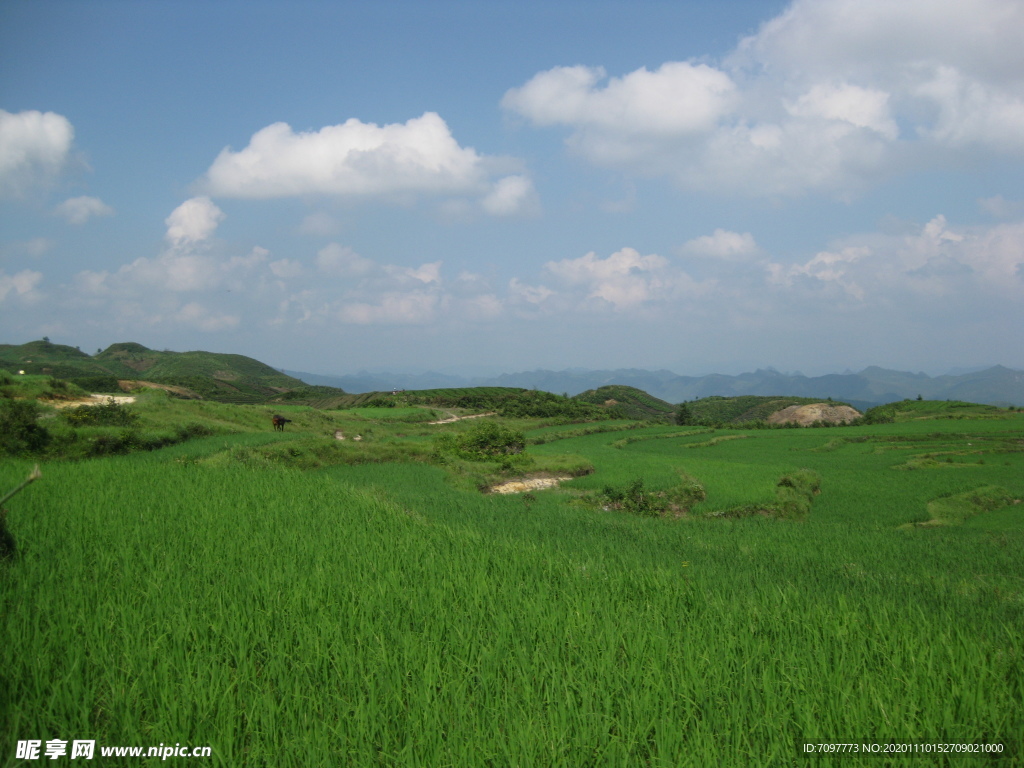 自然风景