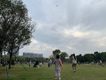 周日公园