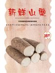 山药海报