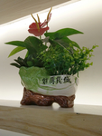 插花
