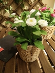 插花