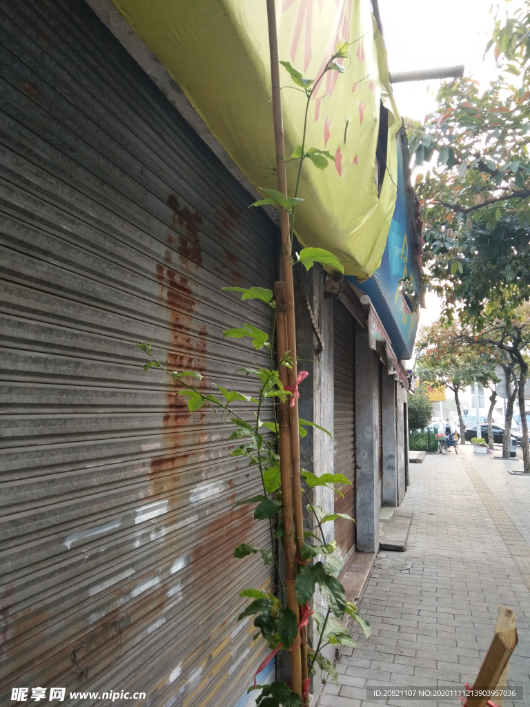插花