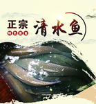 清水鱼