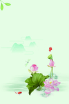 中国风荷花手绘