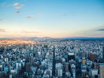 城市