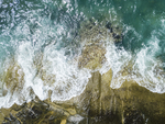 海