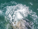 海